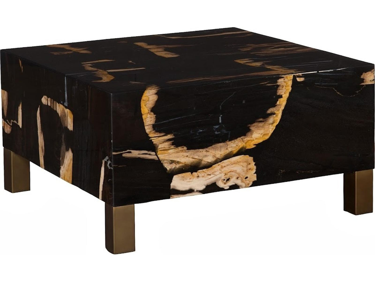 Petramosaic Square Petrified Wood Coffee Table in Black and Brown