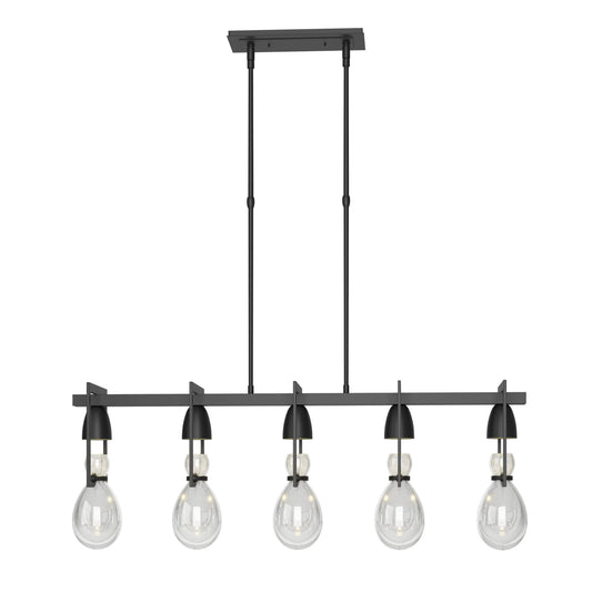 Apothecary Pendant 5-Light Clear Glass (ZM) in Black