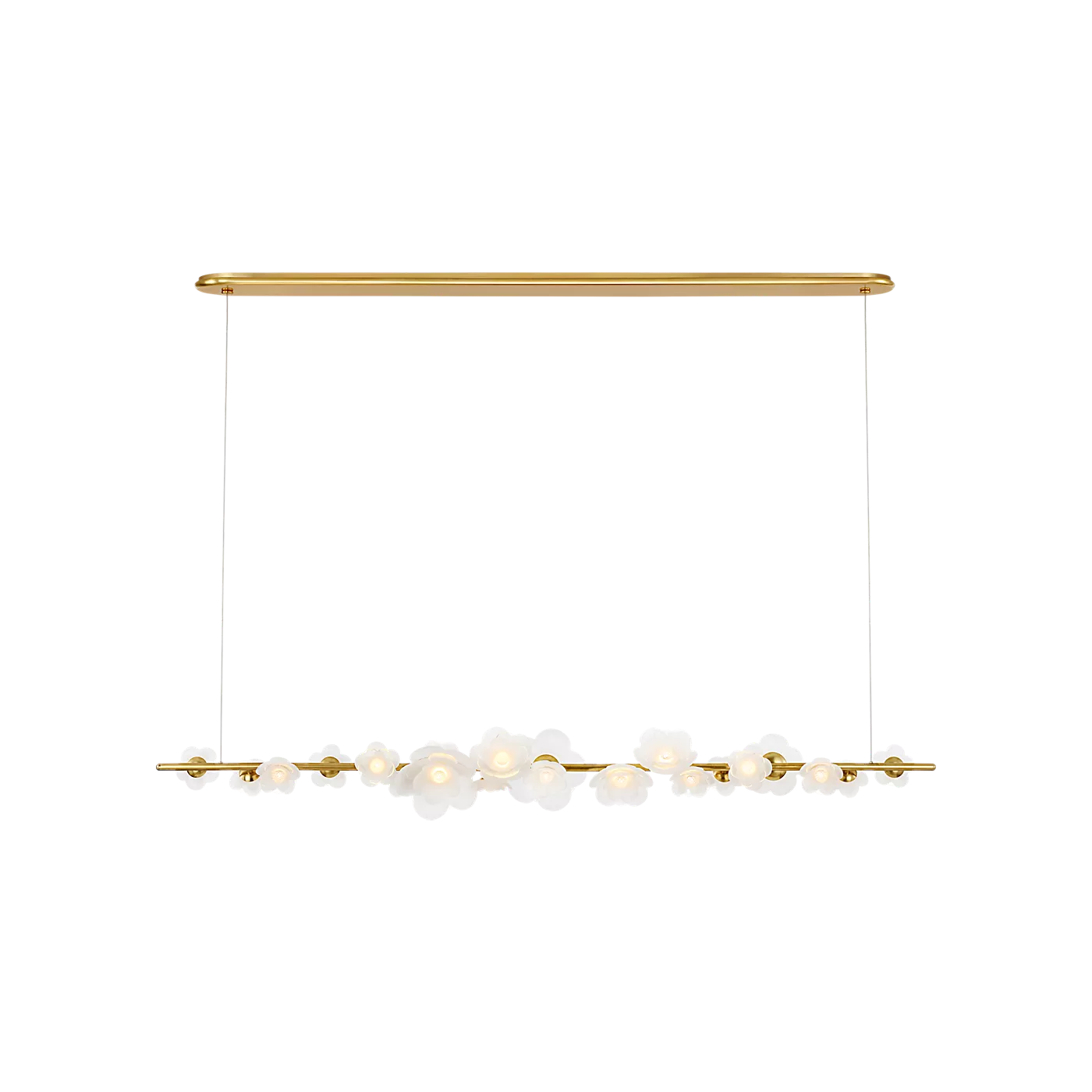 Petaluma 63" Linear Chandelier