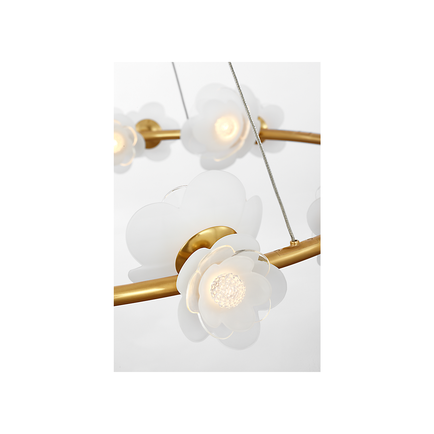 Petaluma 35" Ring Chandelier