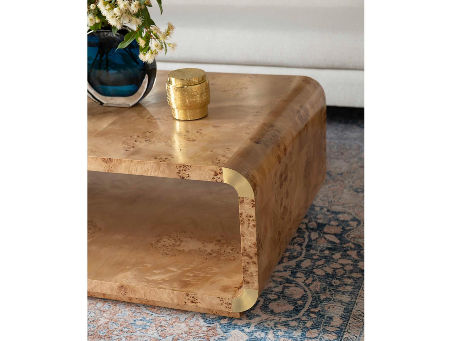 Emil Rectangle Coffee Table in Burl Wood and Brushed Brass