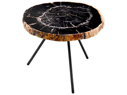 De Soto Dark Range Petrified Wood Set of 3 Coffee Table with Bronze Finish Legs