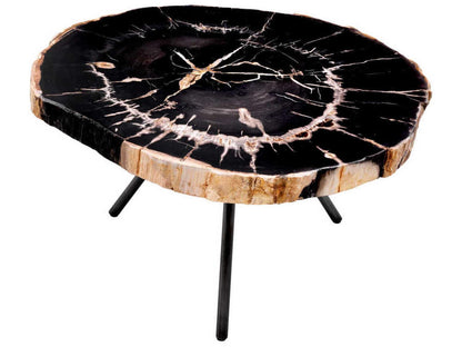 De Soto Dark Range Petrified Wood Set of 3 Coffee Table with Bronze Finish Legs