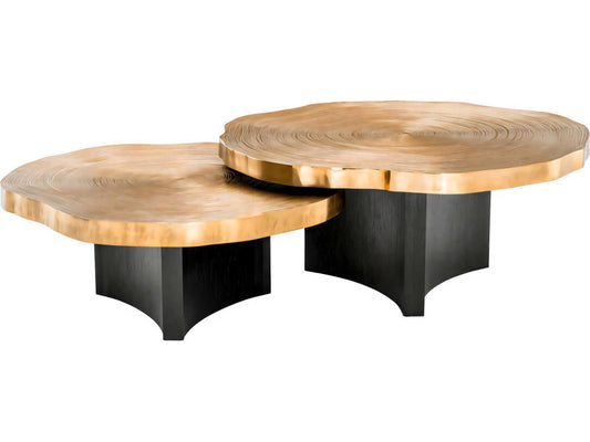 Thousand Oaks Round Coffee Table Set of 2 in Brass and Black