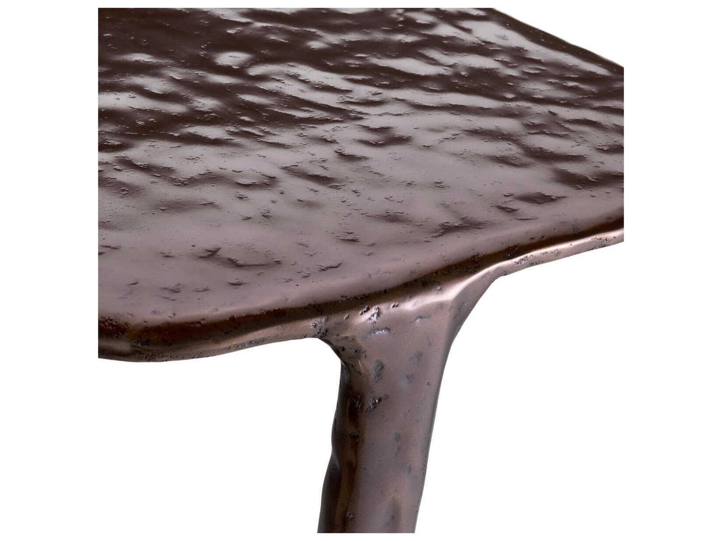Tigra Free Form Side Table in Bronze Finish