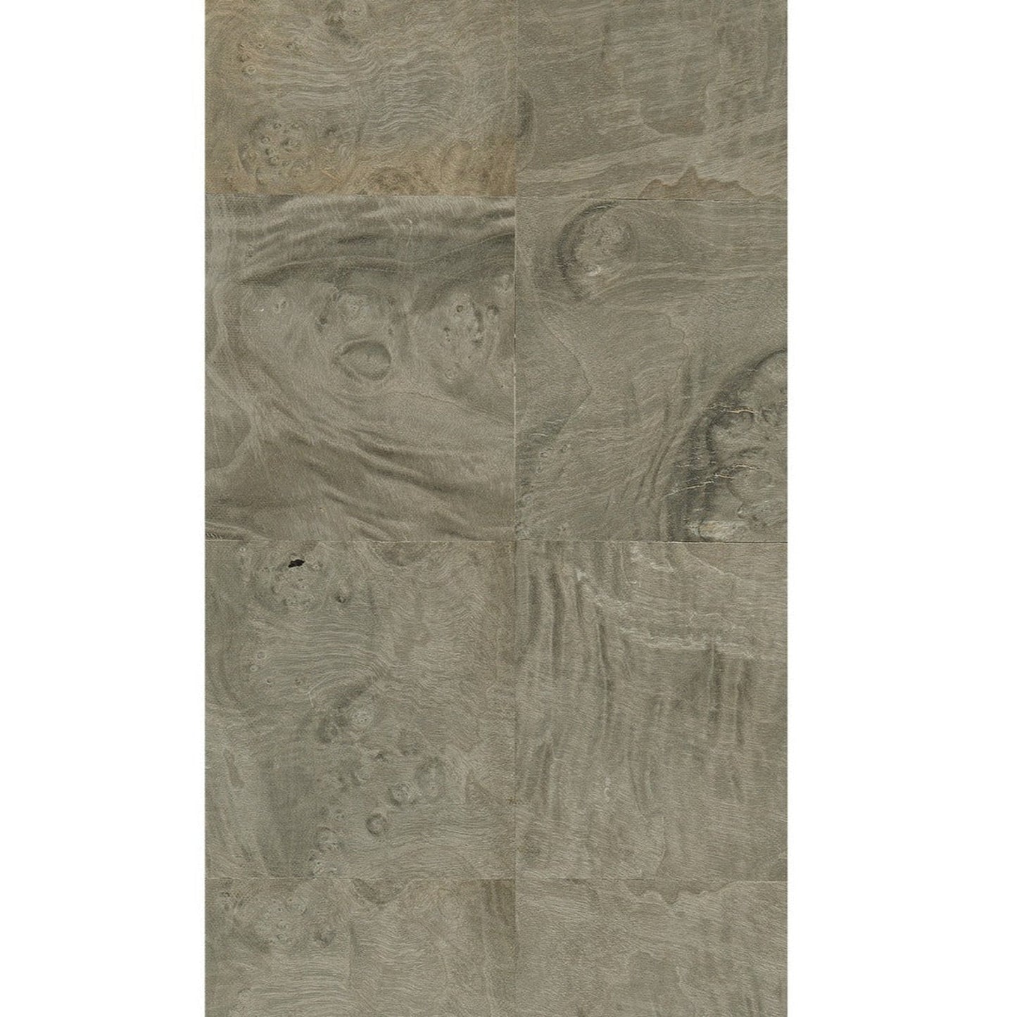 Jonathan Charles Surge Madrona Burl Desk (500401-DMB)