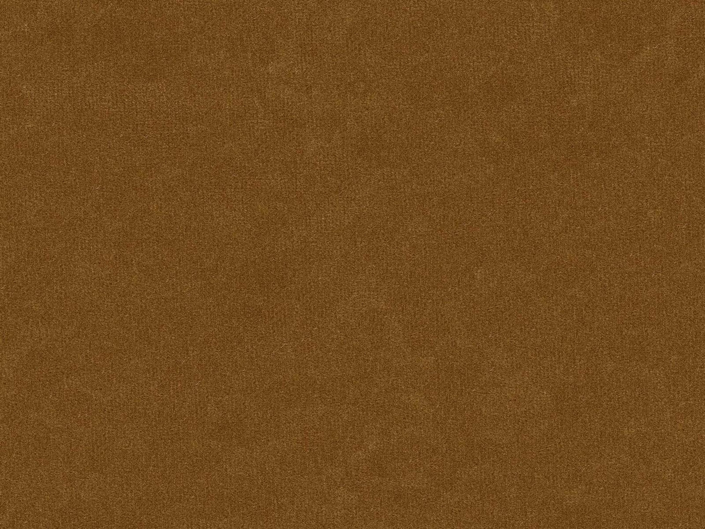 Continental Classics Tufted Upholstered Queen Panel Bed in Beeswax Brown