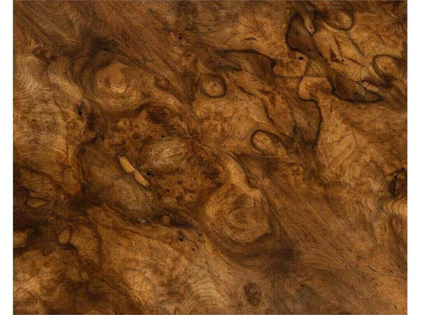 Woodcroft Three-Door Sideboard with European Walnut Burl and Aztec Gold Legs