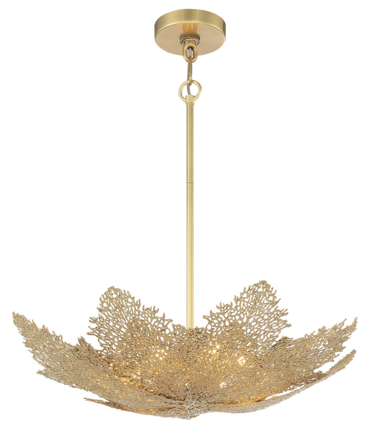 Evergold 8 Light 24" Wide Brass Chandelier with LED Bulbs Included