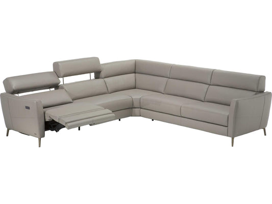 Greg Leather Sectional Sofa