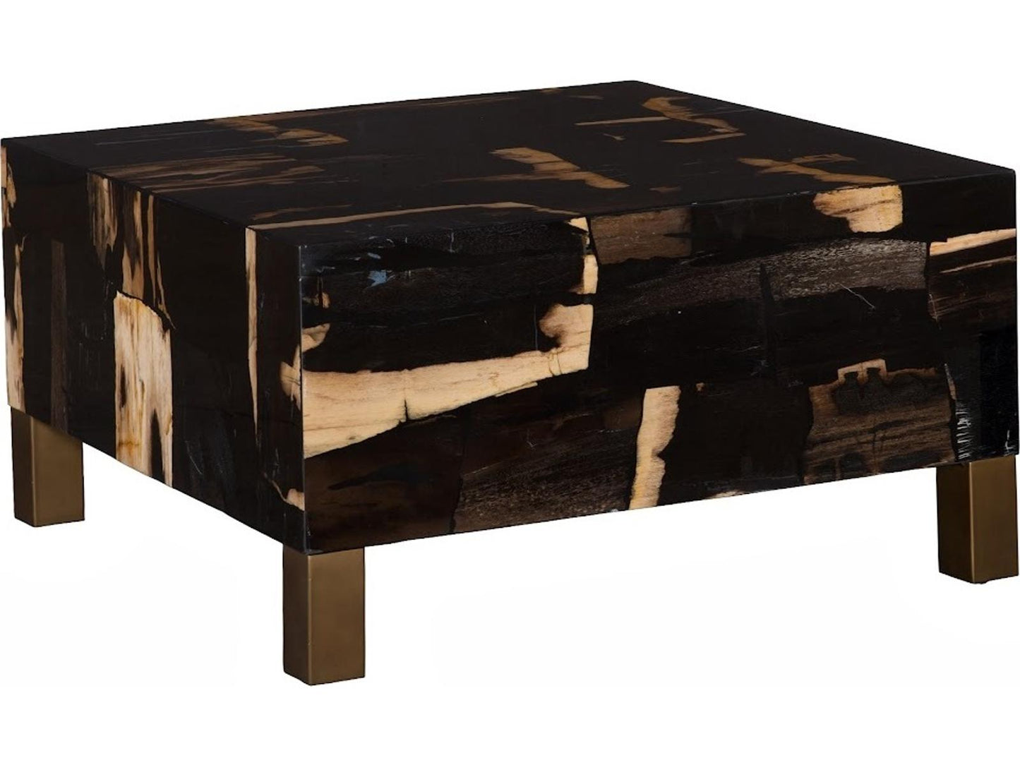 Petramosaic Square Petrified Wood Coffee Table in Black and Brown