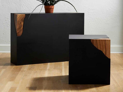 Cornered Rectangular Metal and Chamcha Wood Console Table in Natural Black Brown