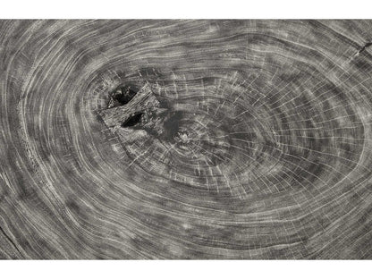Floating Wood Silver Gray Coffee Table