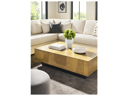 Calder Rectangular Coffee Table in Dual Tone Brass and Black