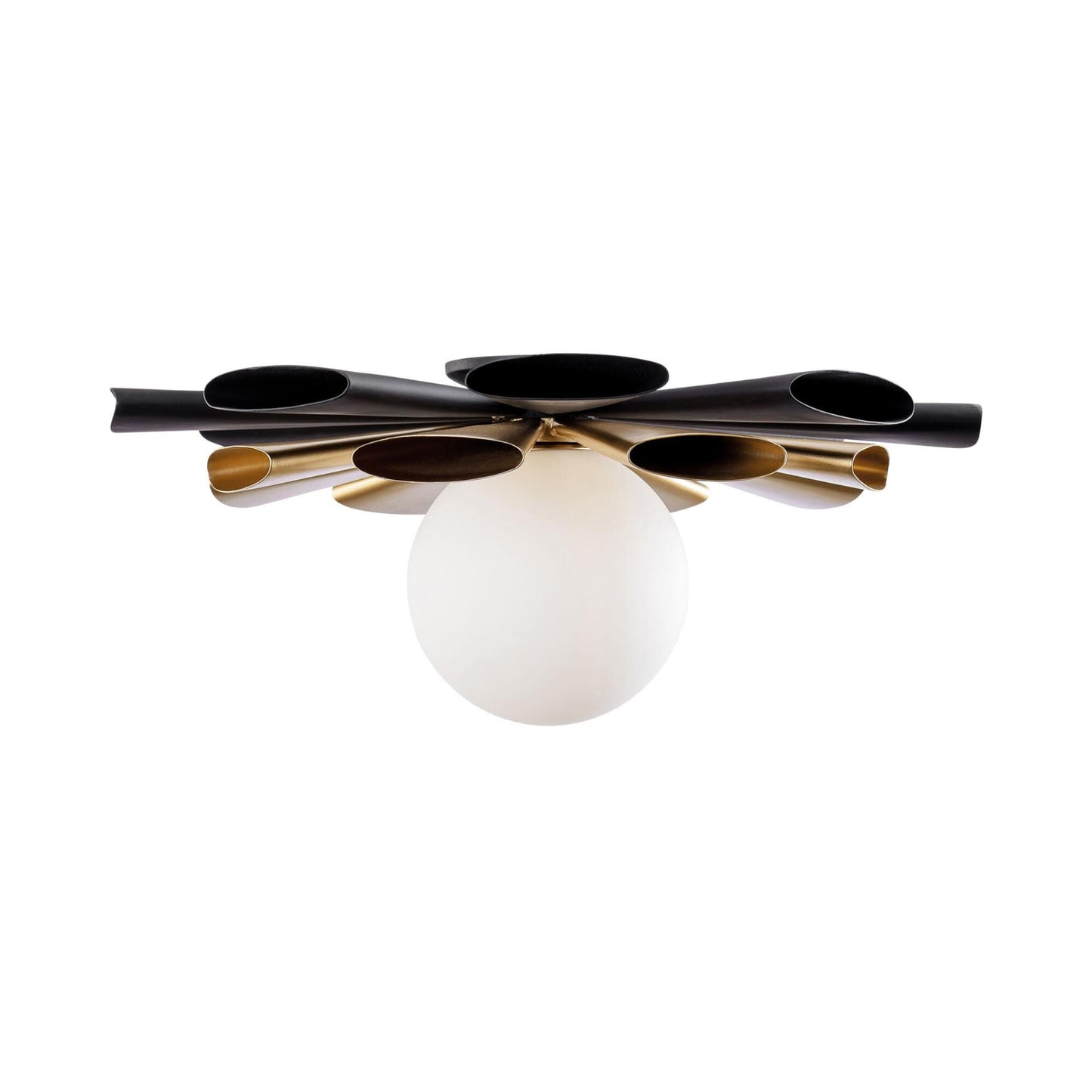 Varaluz Daphne 18 Inch Wall Sconce Cp769262