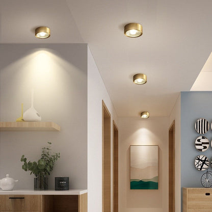 All-Copper LED Downlight