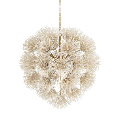 8 Light 33" Wide Chandelier