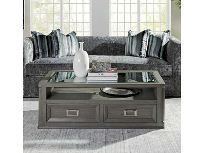 Appellation Rectangular Glass Coffee Table in Gray