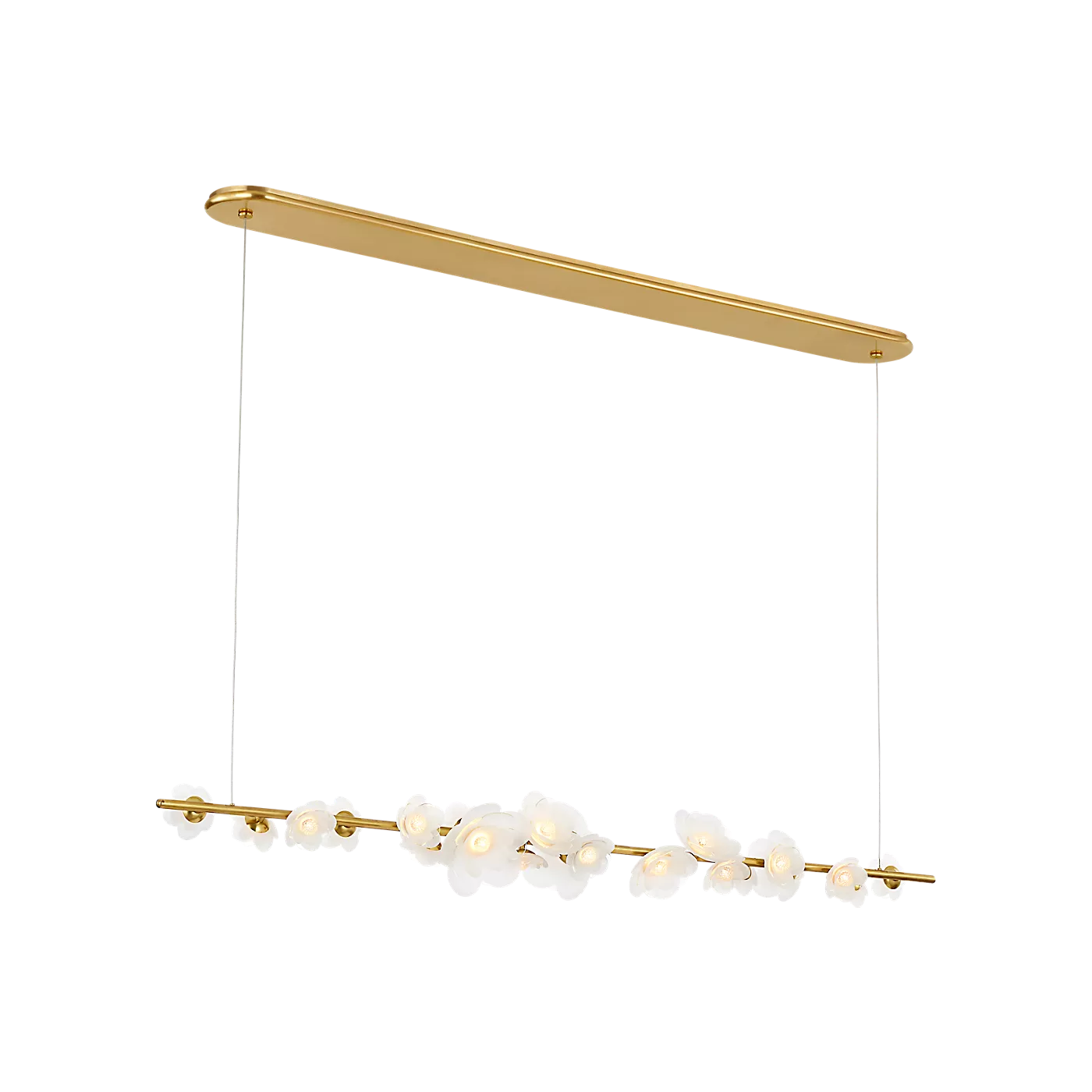 Petaluma 63" Linear Chandelier