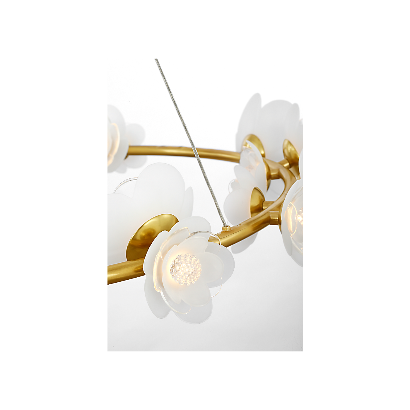 Petaluma 35" Ring Chandelier