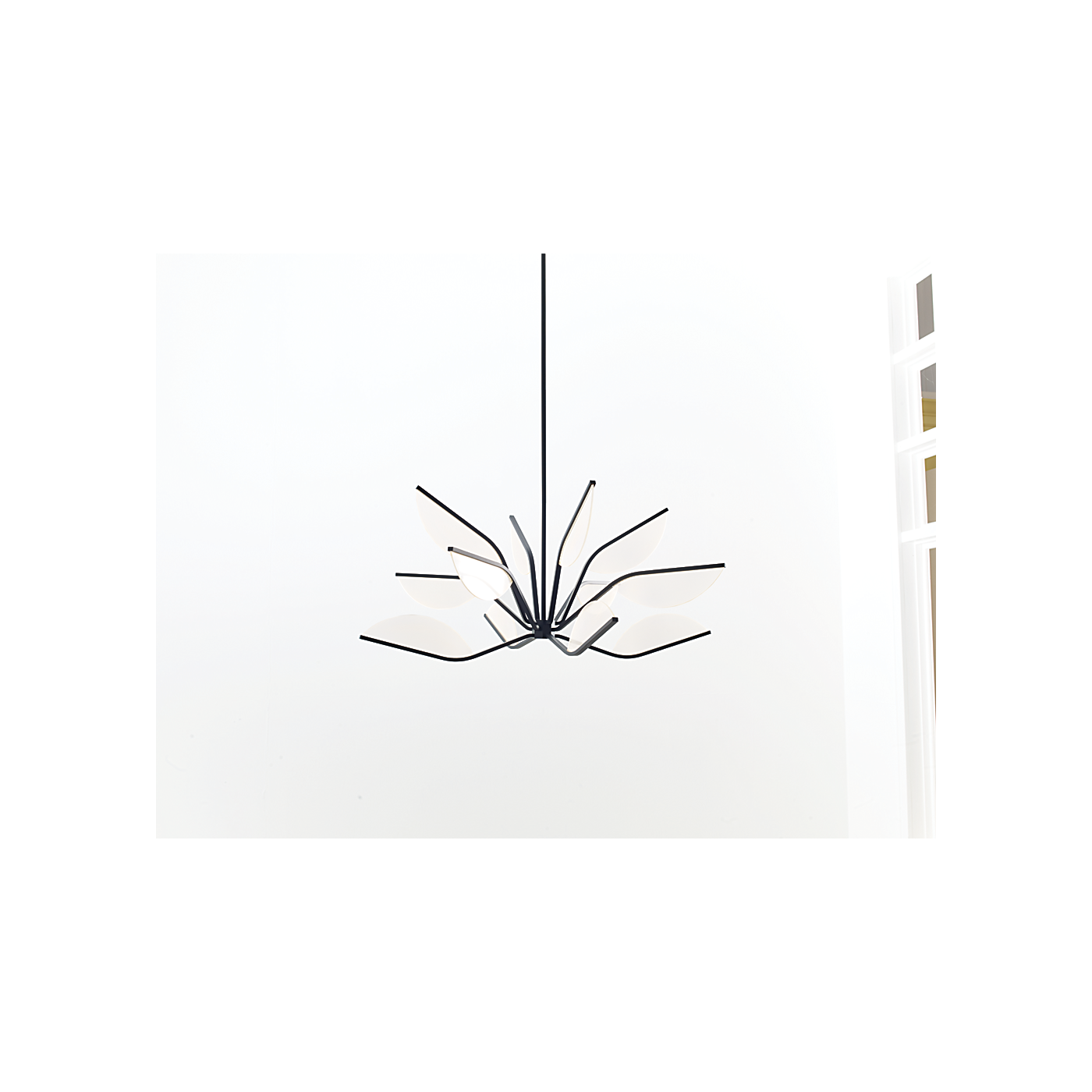 Belterra 38 Chandelier