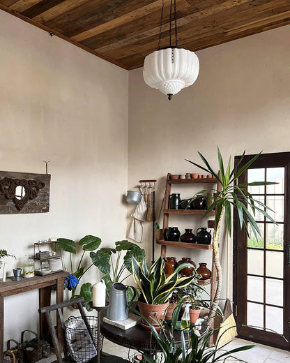 Flutara Glass Pendant Light