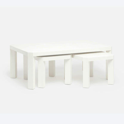 Taylam Rectangular Nesting Coffee Table