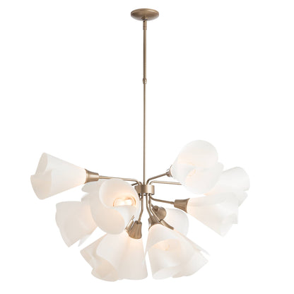 Mobius 12 Light 39" Wide Pendant