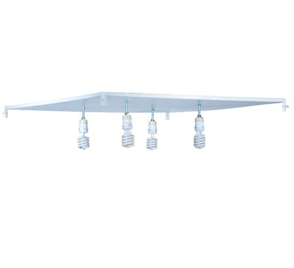 Quadrato Illusion 4 Light 51" Wide Semi-Flush Ceiling Fixture