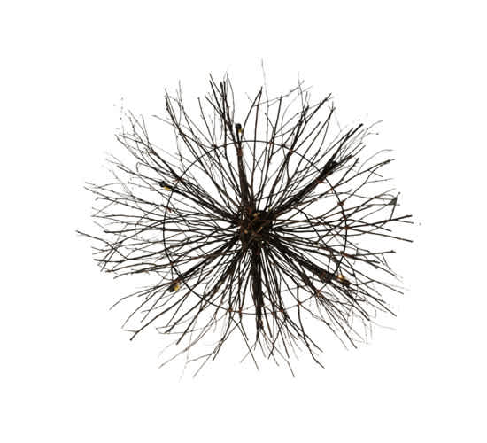 Twigs 6 Light 48" Wide Taper Candle Style Chandelier